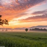 Uma paisagem tranquila com o nascer do sol sobre um campo sereno, iluminado por tons quentes de laranja, rosa e roxo.