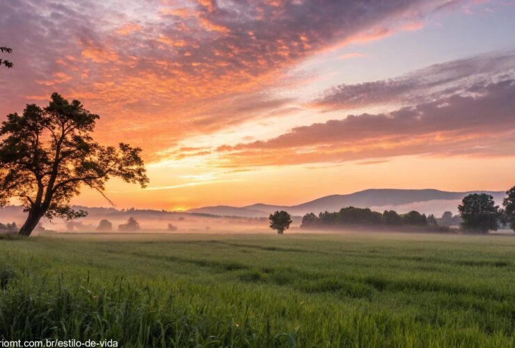 Uma paisagem tranquila com o nascer do sol sobre um campo sereno, iluminado por tons quentes de laranja, rosa e roxo.