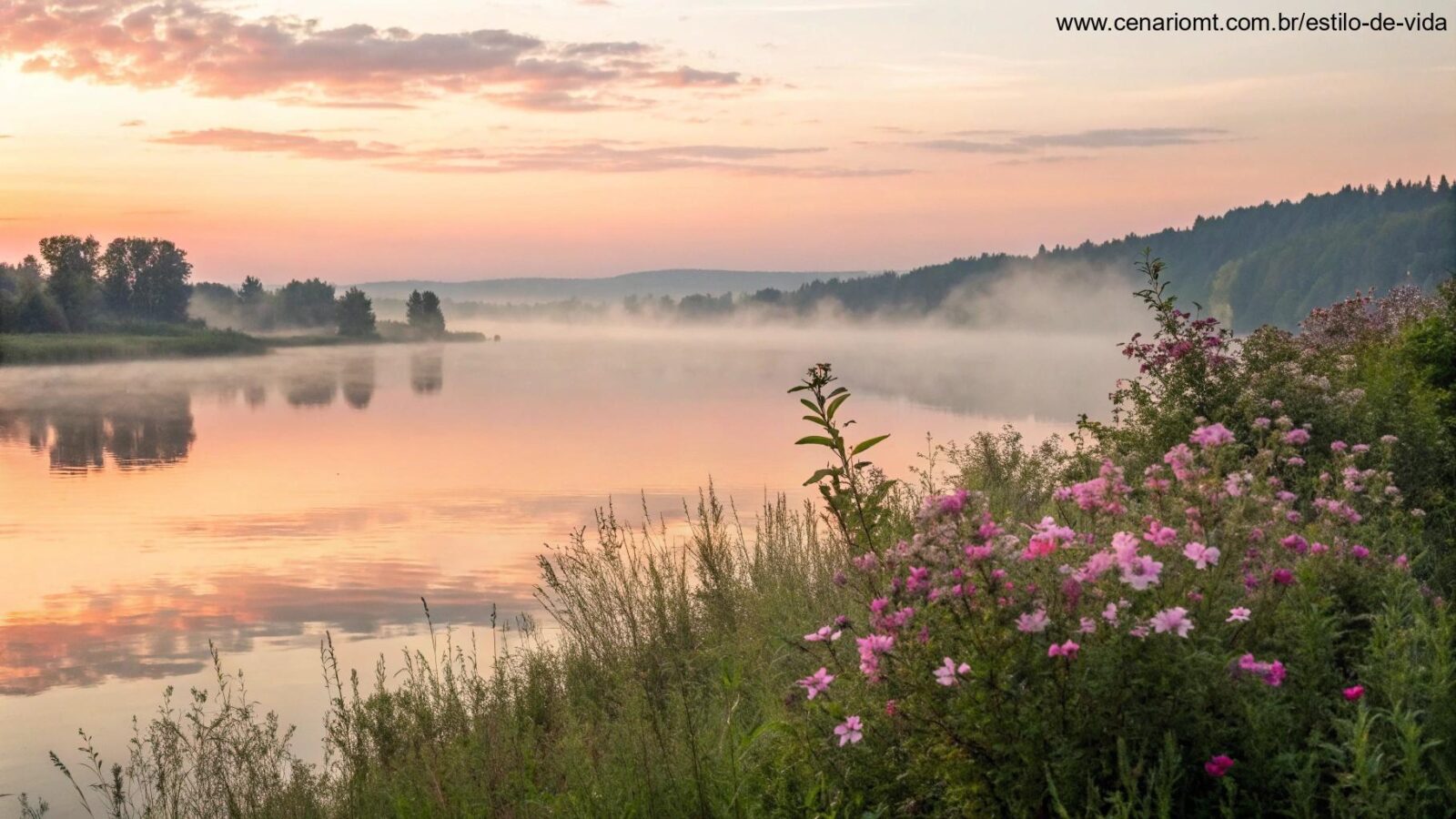 Nascer do sol sereno sobre um lago calmo com cores pastel suaves no céu, cercado por névoa delicada e flores desabrochando