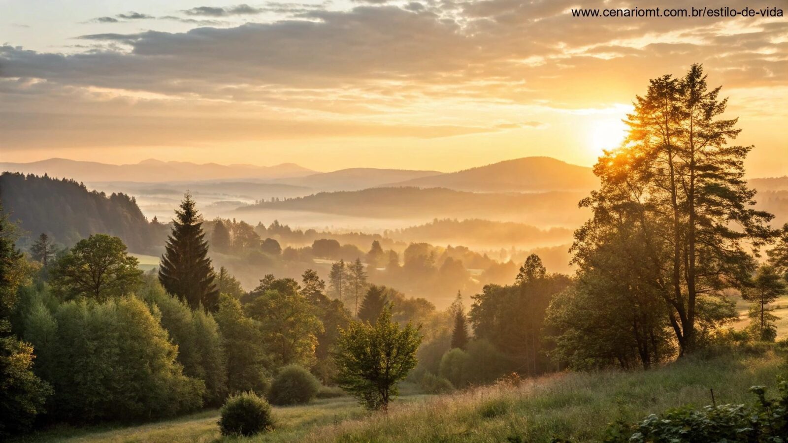 Nascer do sol sereno sobre uma paisagem tranquila com luz dourada suave filtrando pelas árvores