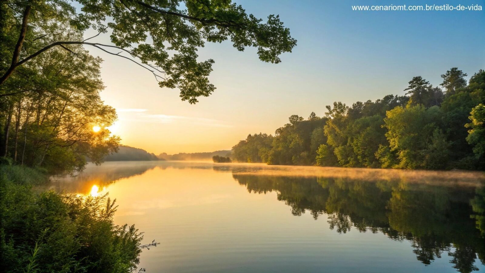 Nascer do sol tranquilo sobre um lago com reflexos dourados na água, cercado por árvores verdes e céu azul