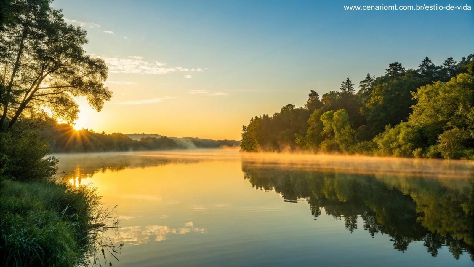 Nascer do sol sereno sobre um lago calmo com reflexos dourados, cercado por árvores verdes e um céu azul claro