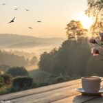Cenário de bom dia para sexta-feira com luz suave do amanhecer e flores ao redor