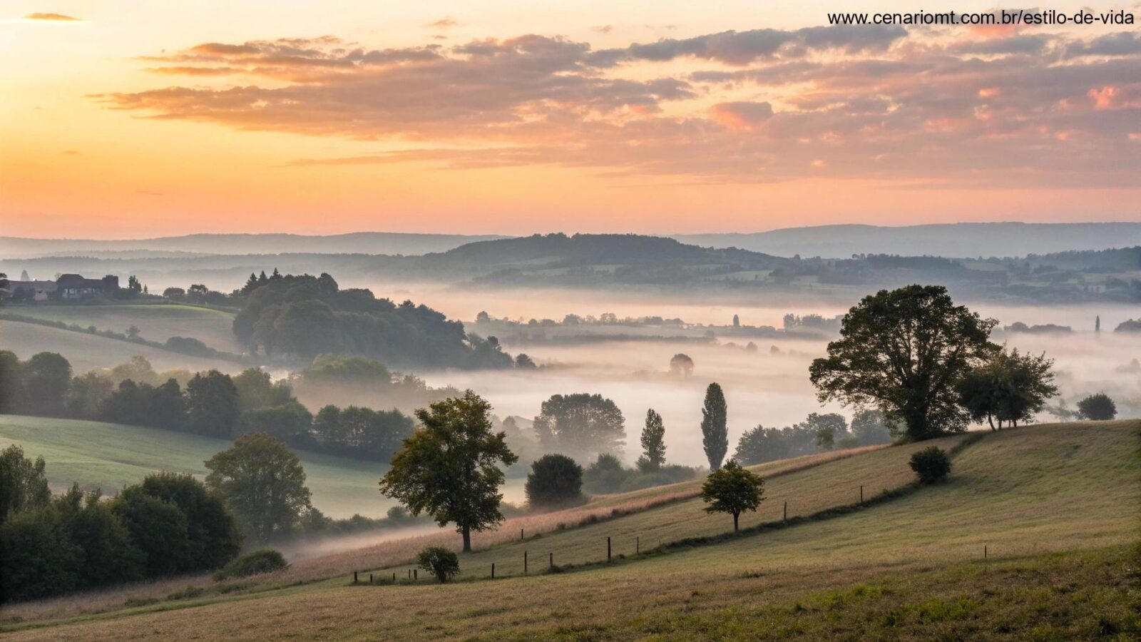 Amanhecer tranquilo no campo em uma manhã de terça-feira