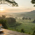 Cena tranquila de manhã com um nascer do sol suave, uma xícara de café e uma brisa suave passando por uma paisagem verde, evocando positividade e calma.