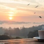 Imagem de uma manhã tranquila com um nascer do sol, pássaros voando e uma xícara de café sobre uma mesa