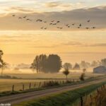 Paisagem de campo ao amanhecer simbolizando energias renovadas para a segunda-feira de Tiradentes
