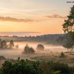 Paisagem serena ao amanhecer com luz suave e natureza tranquila