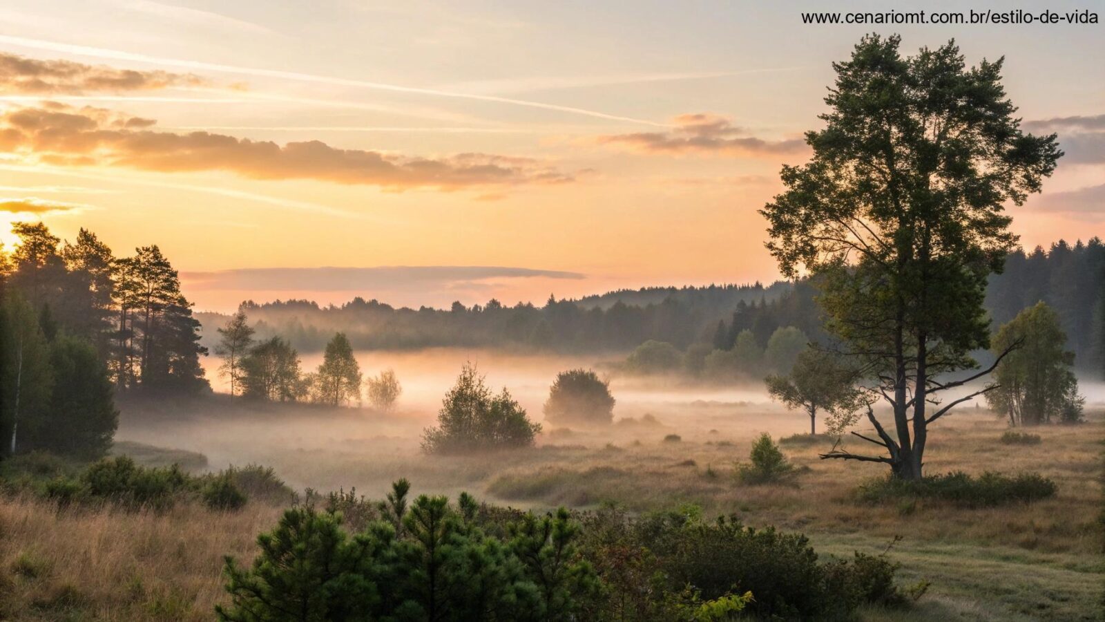 Paisagem serena ao amanhecer com luz suave e natureza tranquila