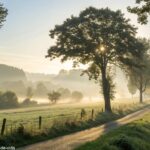 Paisagem serena de manhã para inspirar a terça-feira 29/04/2025