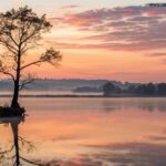 Nascer do sol tranquilo sobre um lago calmo com uma árvore solitária na margem