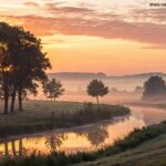 Paisagem serena ao nascer do sol com luz dourada suave entre as árvores, simbolizando reflexão e despertar espiritual