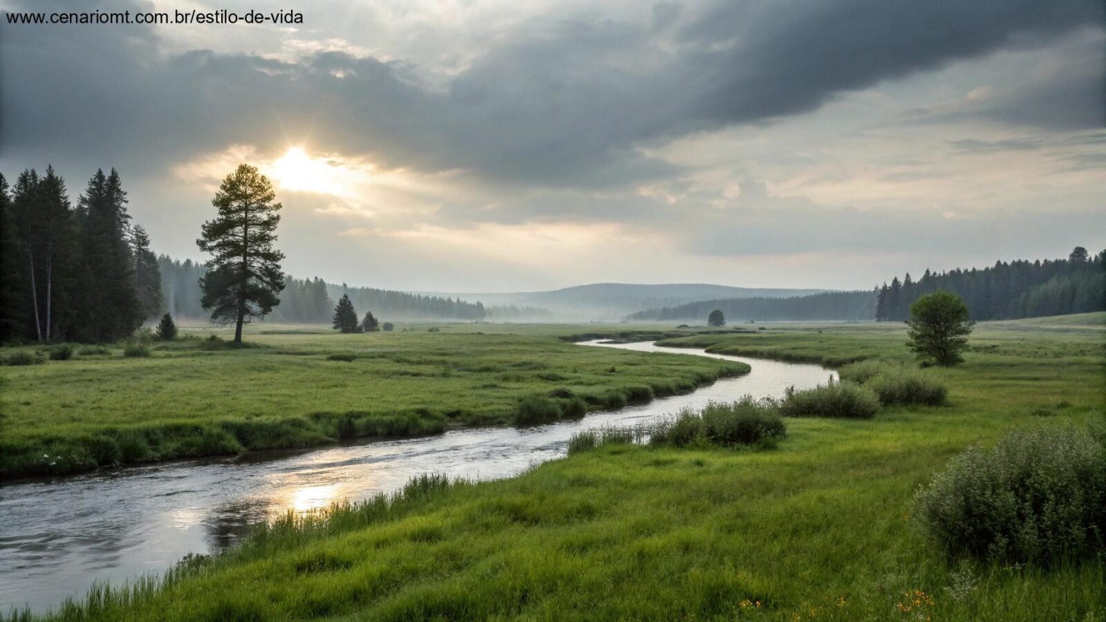 Imagem representando uma paisagem tranquila com luz suave, simbólica da reflexão e oração, conectada ao Salmo 23.