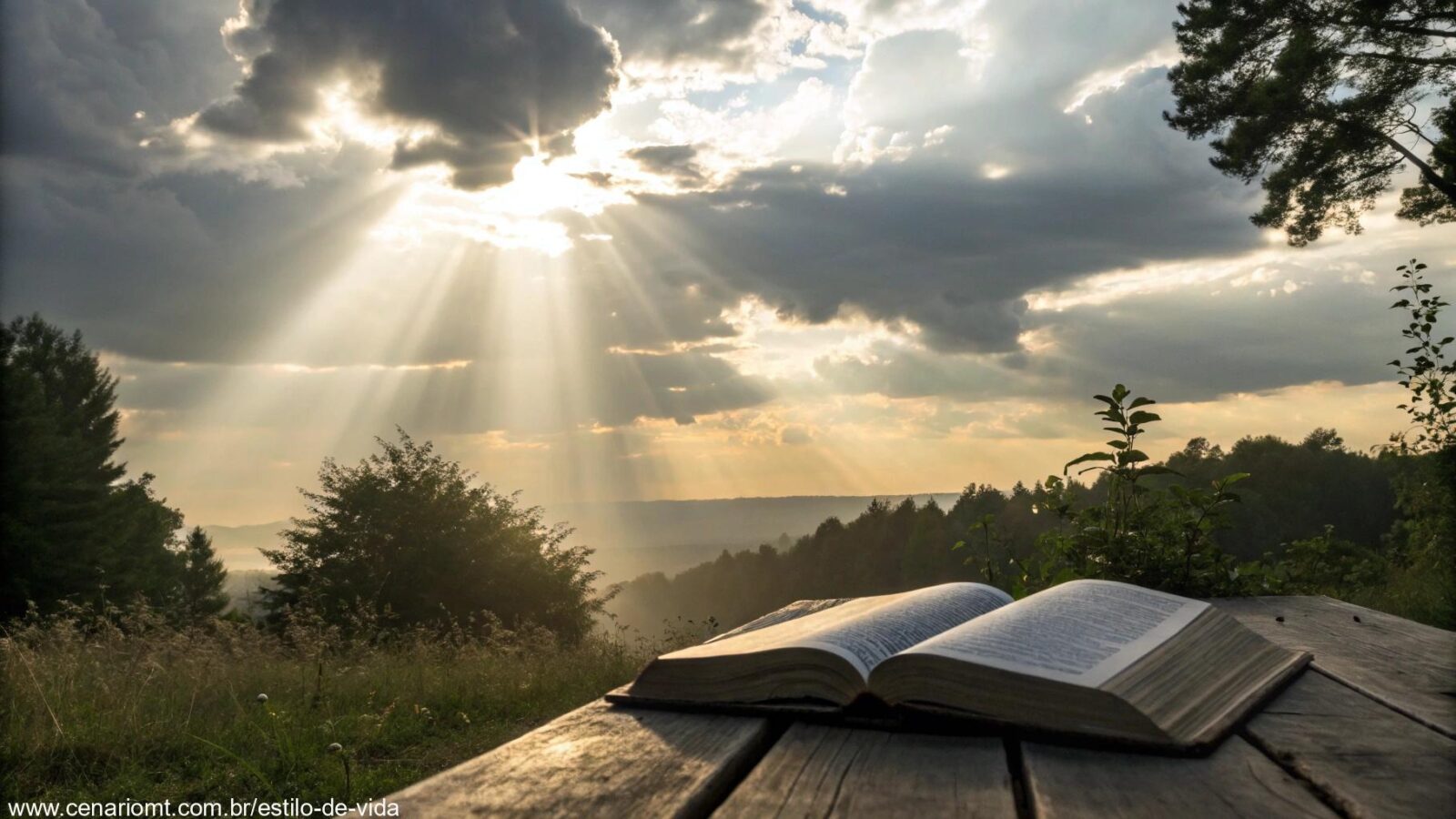 Bíblia aberta sob luz do sol em um cenário natural tranquilo, simbolizando inspiração divina