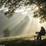 Pessoa em oração silenciosa em uma manhã tranquila com luz suave entre árvores