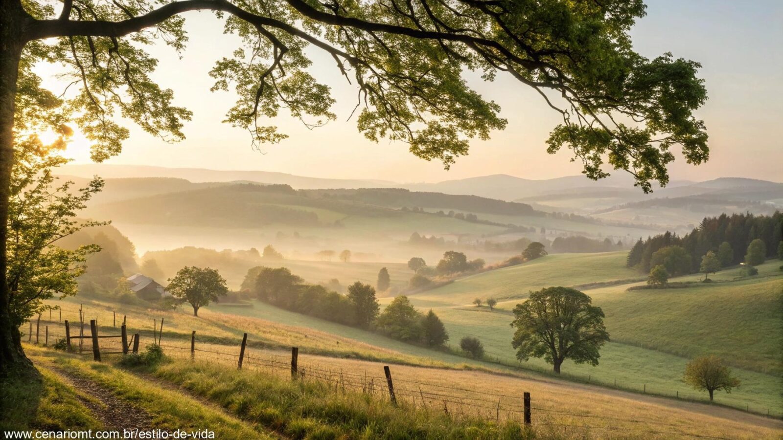 Imagem de um domingo tranquilo com luz suave entre árvores e paisagem campestre serena