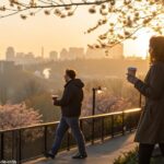 Amanhecer tranquilo de segunda-feira com luz dourada suave e pessoas caminhando com café
