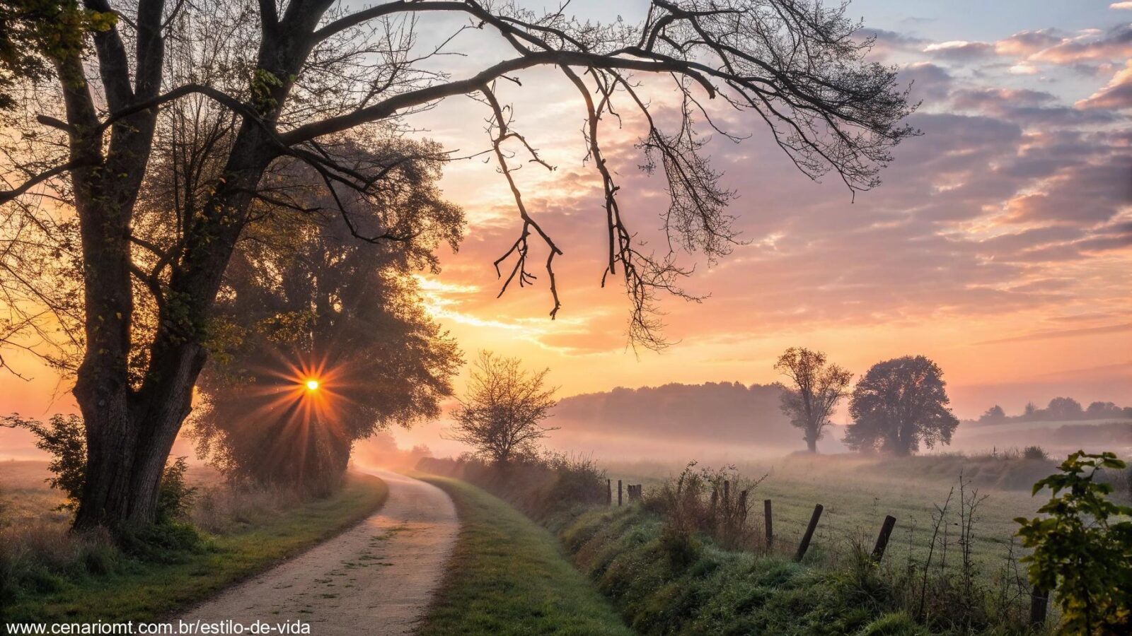 Amanhecer tranquilo em uma paisagem campestre para inspirar fé e ânimo nesta sexta-feira