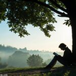 Pessoa lendo a Bíblia ao ar livre em uma manhã tranquila, com luz suave do sol entre as árvores, em um momento de reflexão sobre o Evangelho do Dia 14/05/2025