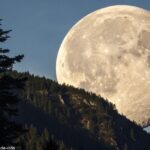 Ilustração realista da Lua em fase gibosa minguante vista da Terra em 14 de maio de 2025, com céu noturno limpo e detalhes das crateras