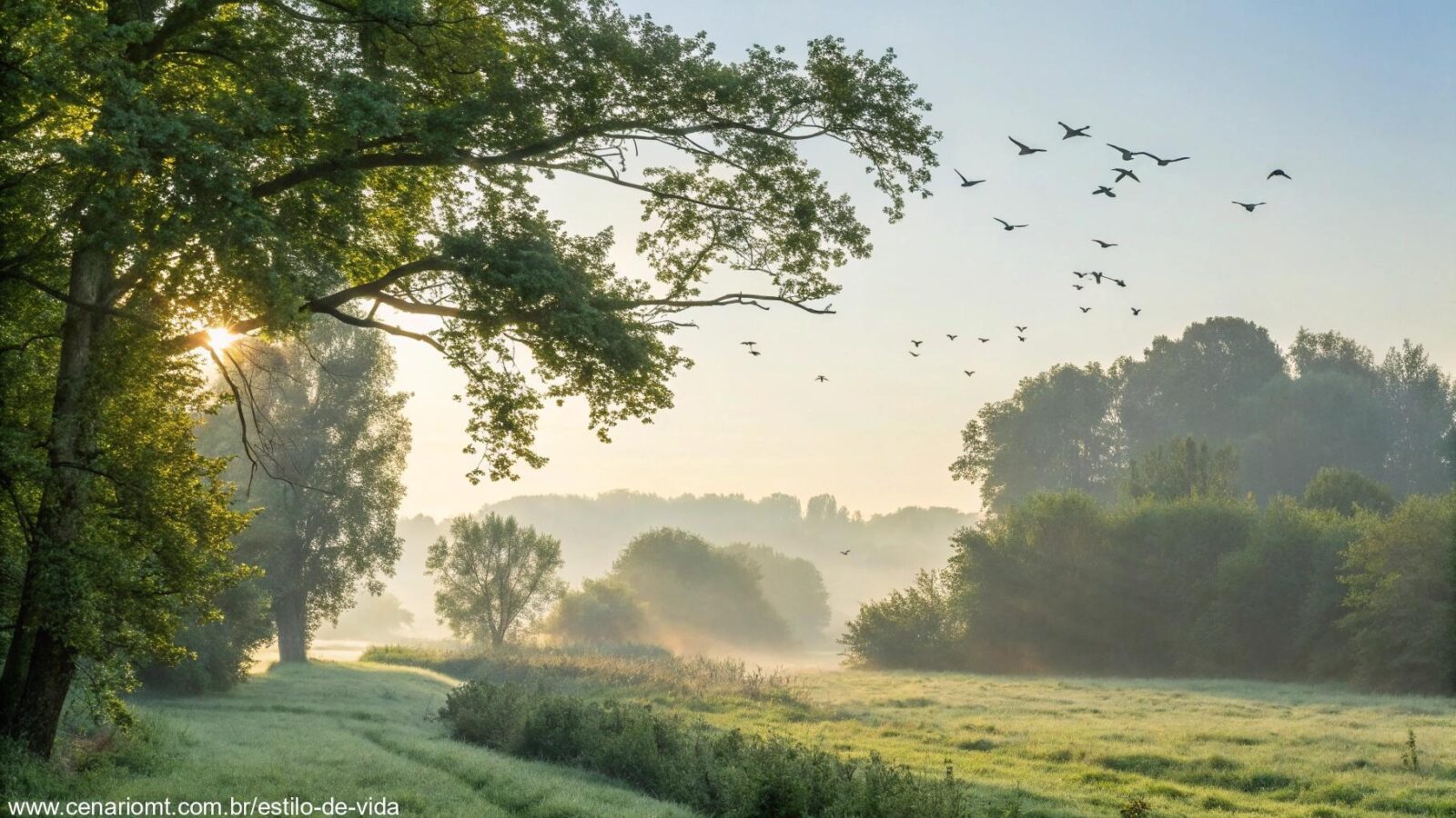 Imagem de uma manhã serena e abençoada com luz suave e natureza tranquila