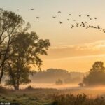 Amanhecer tranquilo com luz dourada iluminando uma paisagem rural na sexta-feira abençoada