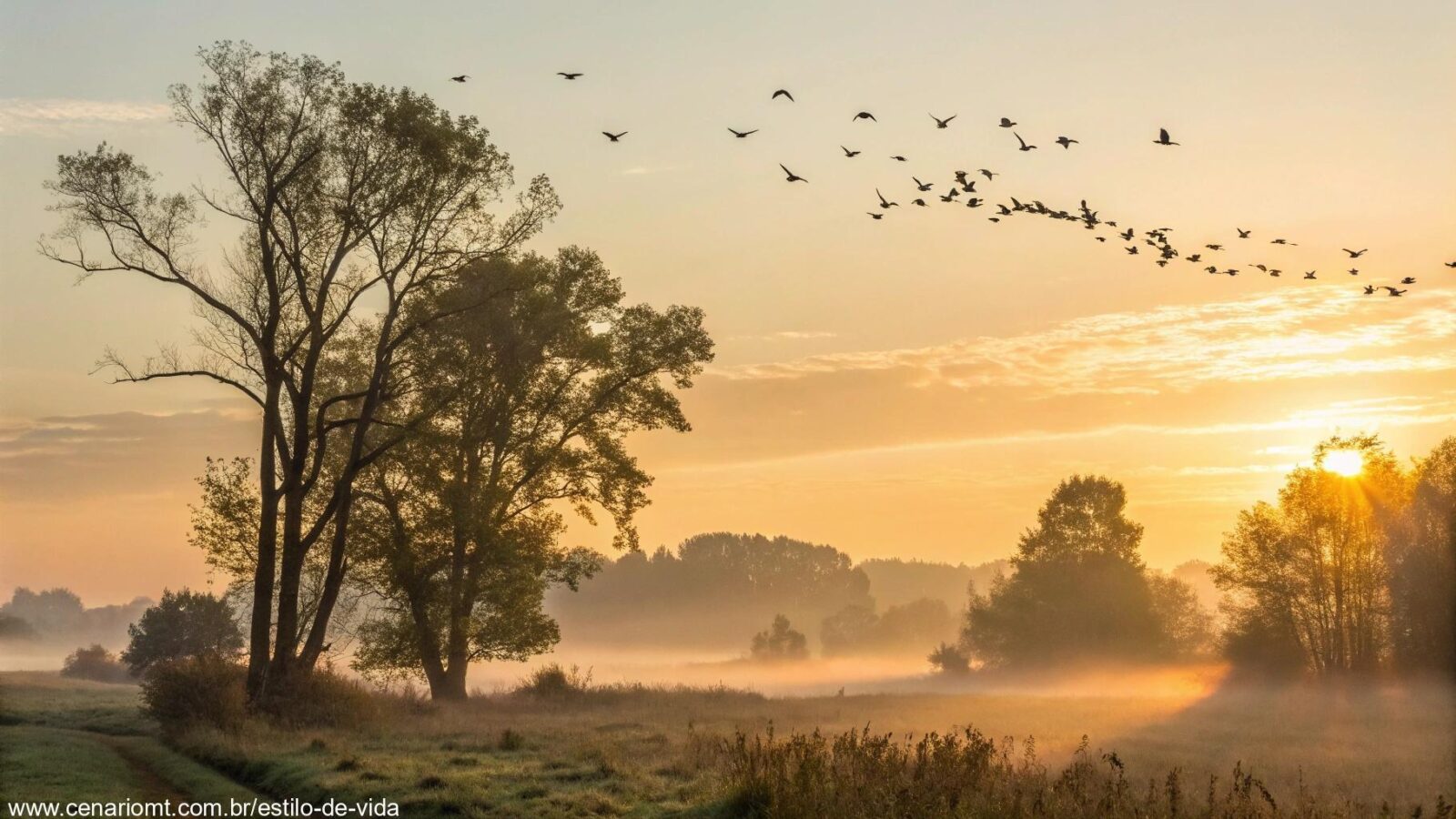 Amanhecer tranquilo com luz dourada iluminando uma paisagem rural na sexta-feira abençoada