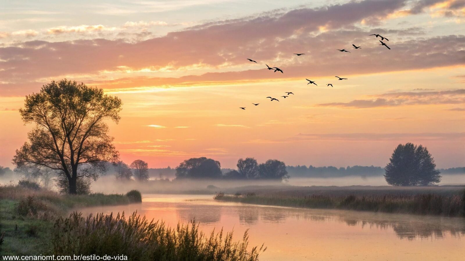 Cena tranquila de manhã com luz suave, um nascer do sol sobre uma paisagem calma, aves voando e uma atmosfera serena que transmite positividade.
