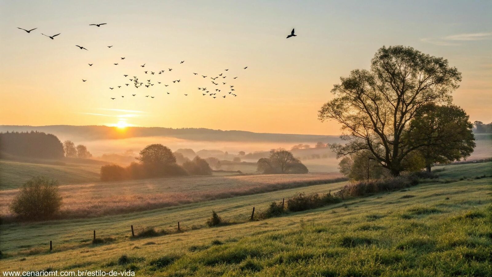 Paisagem tranquila ao amanhecer em uma quarta-feira, com luz suave e natureza serena