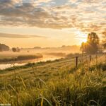 Nascer do sol tranquilo sobre o campo para inspirar a segunda-feira