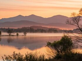 Uma imagem de um amanhecer tranquilo sobre um lago calmo, com luz suave refletindo na água e montanhas ao fundo, criando uma sensação positiva.
