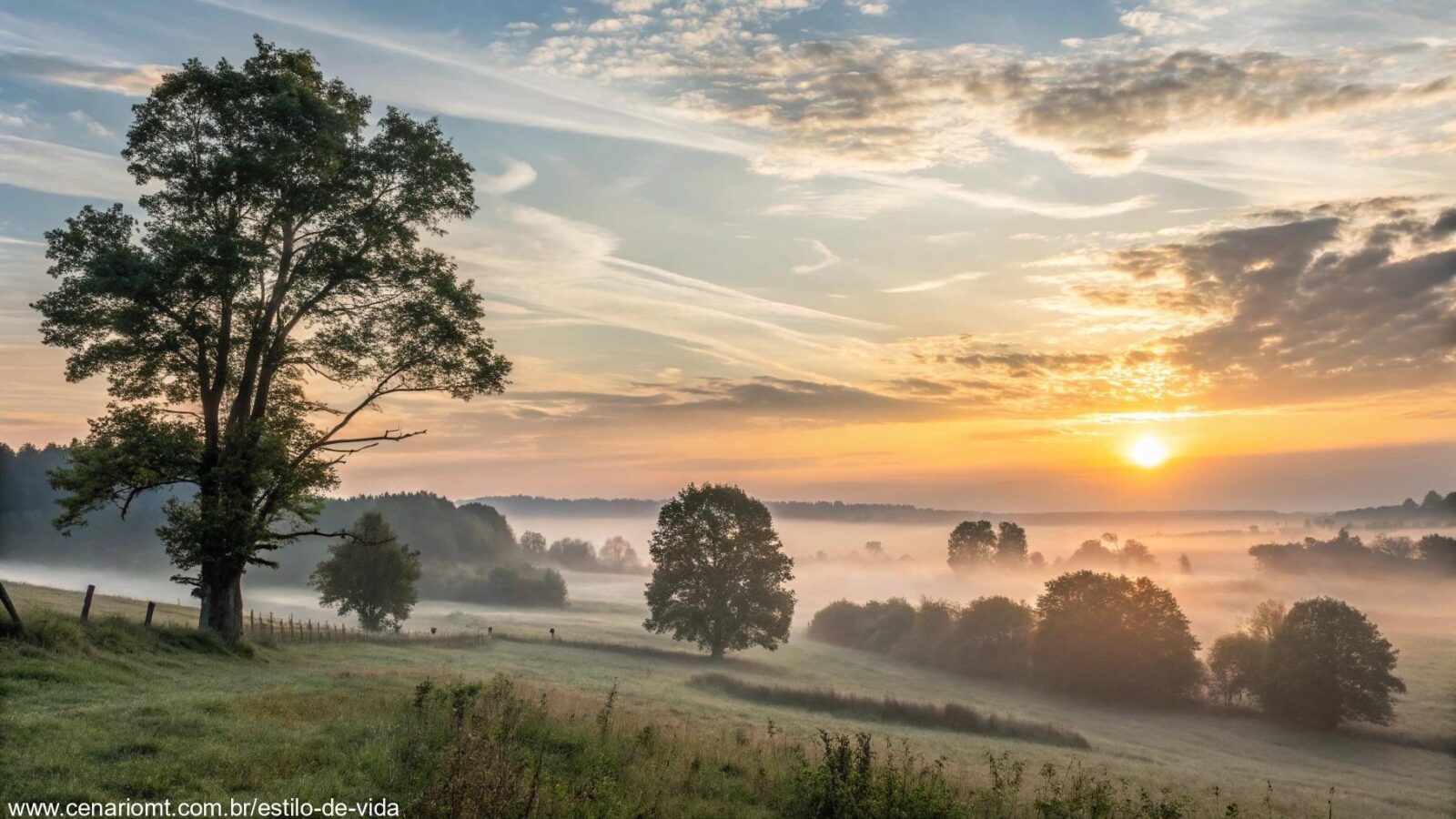 Cena calma de manhã com o sol nascendo sobre uma paisagem tranquila, com cores suaves, uma brisa leve e nuvens claras no céu, ideal para uma mensagem de bom dia no WhatsApp.