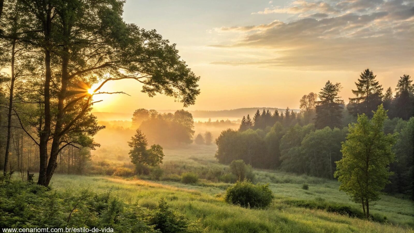 Nascer do sol sereno em uma clareira de floresta tranquila, com luz dourada suave filtrando pelas árvores, criando uma atmosfera de paz e inspiração para o dia