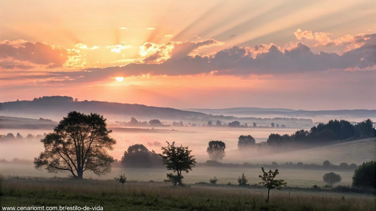 Imagem de um nascer do sol sereno representando palavras que renovam a alma