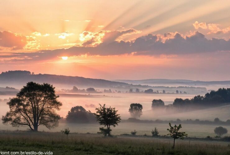 Imagem de um nascer do sol sereno representando palavras que renovam a alma
