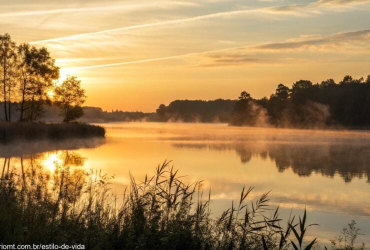Nascer do sol sereno sobre um lago calmo com luz dourada suave, névoa leve subindo da água, cena pacífica da natureza inspirando reflexão e calma