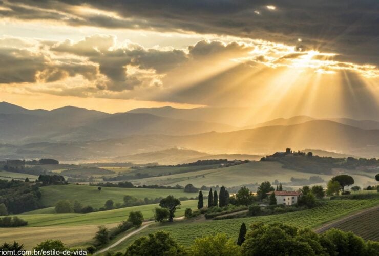Nascer do sol sereno sobre o campo, simbolizando força e esperança