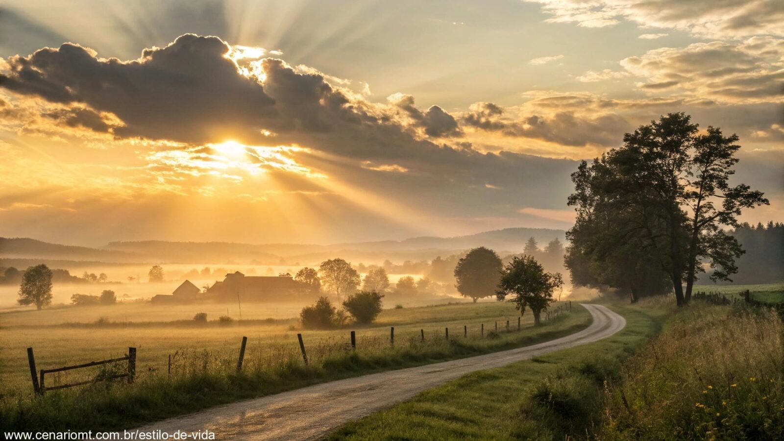 Nascer do sol tranquilo em meio à natureza, transmitindo força e sabedoria para esta terça-feira