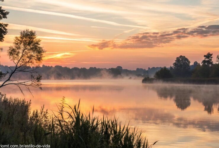 Nascer do sol sereno sobre um lago tranquilo com névoa suave e luz dourada suave, simbolizando reflexão e inspiração espiritual