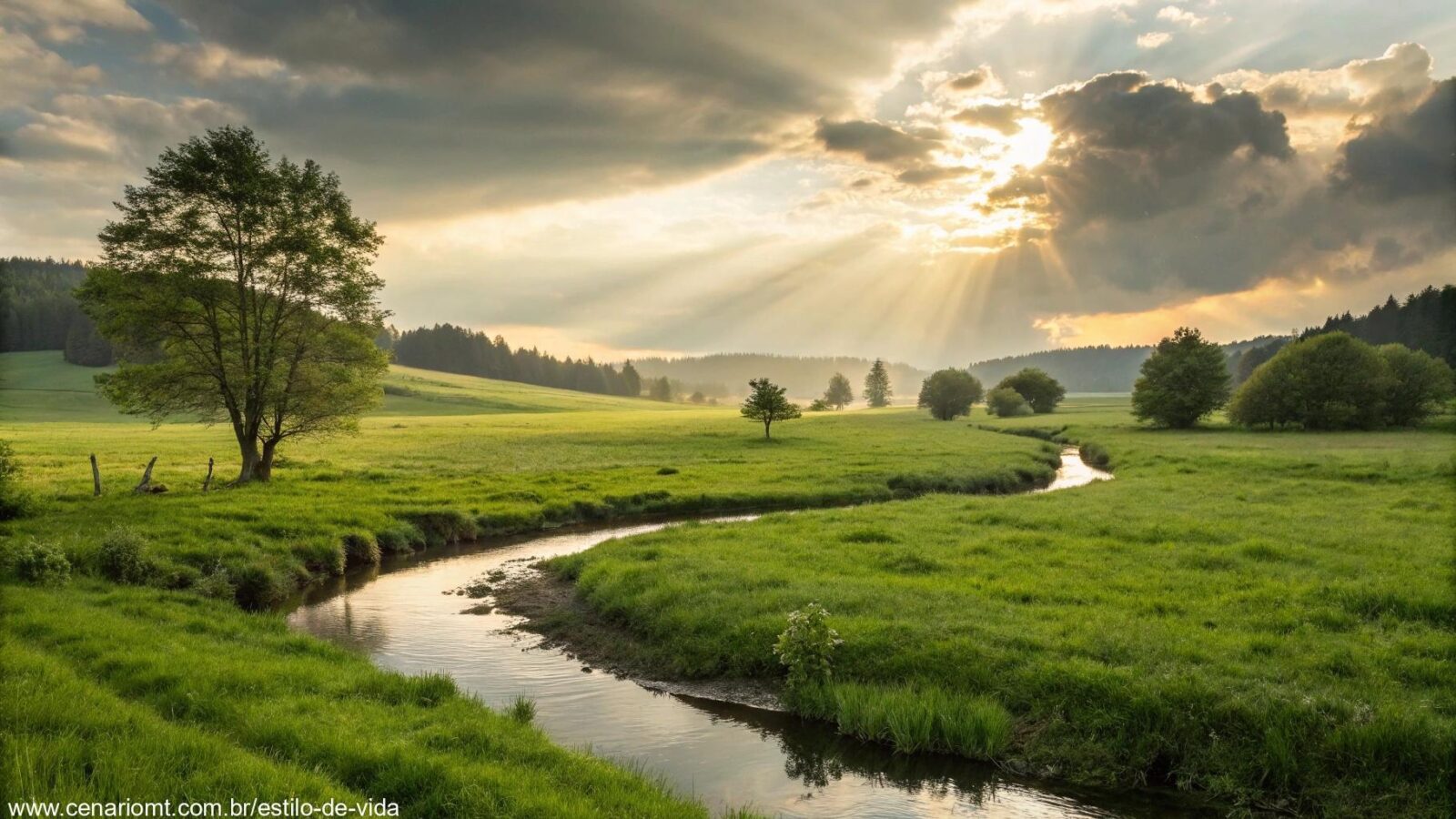 Uma paisagem serena com luz suave filtrando através das nuvens, iluminando um prado verde pacífico, com um riacho suave fluindo, simbolizando paz e reflexão.
