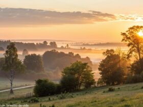 Paisagem tranquila ao amanhecer representando reflexão espiritual e esperança