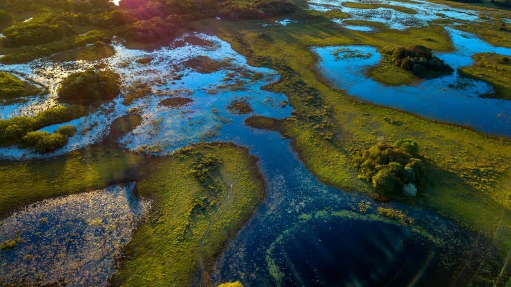 Pantanal da Bodoquena