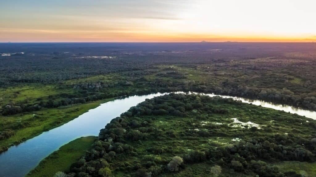 Roteiro de 5 dias no Pantanal
