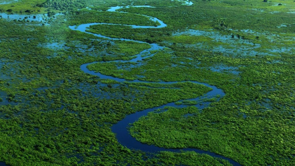 Você conhece o Pantanal