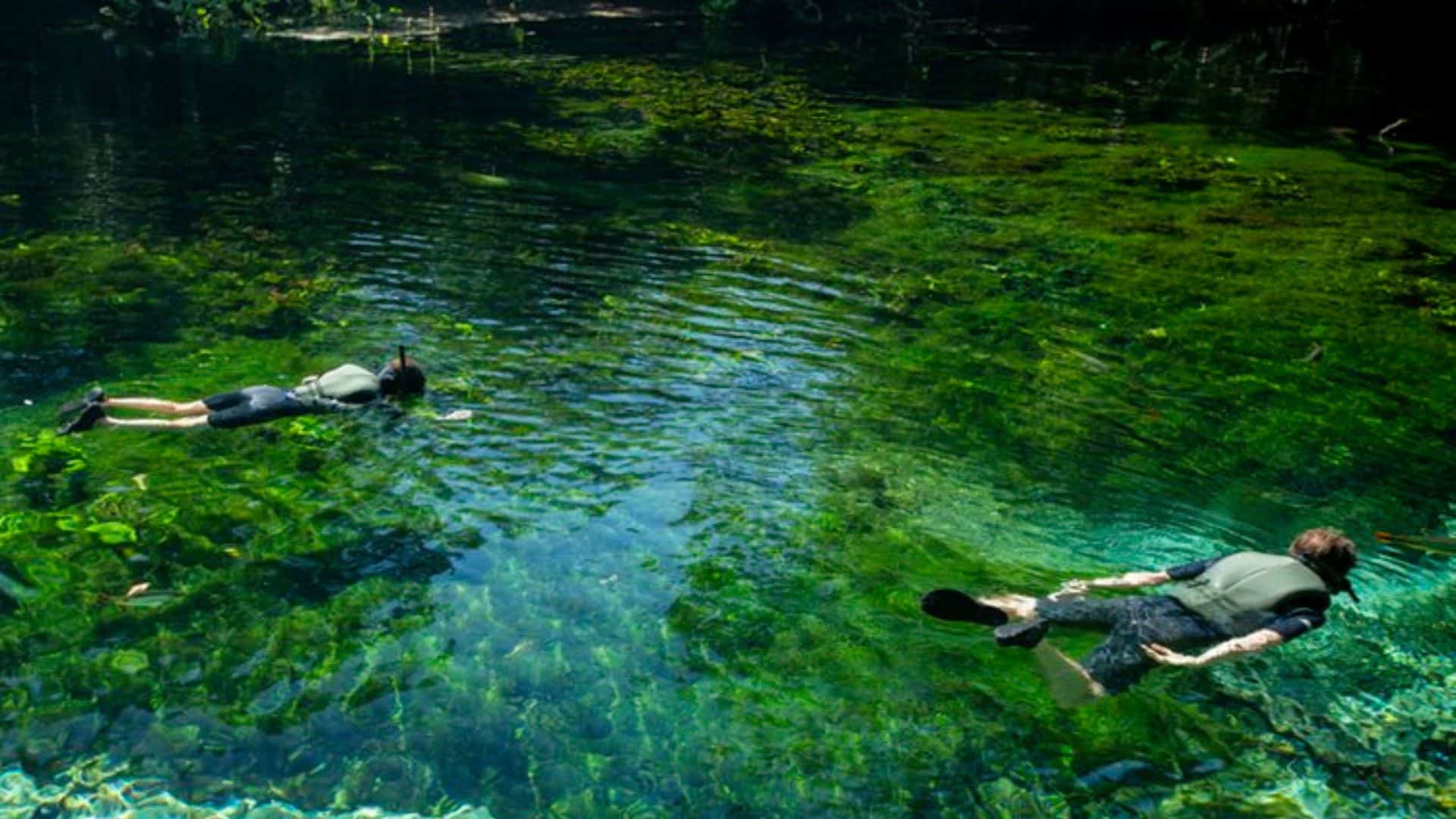 Flutuação Nascente Azul