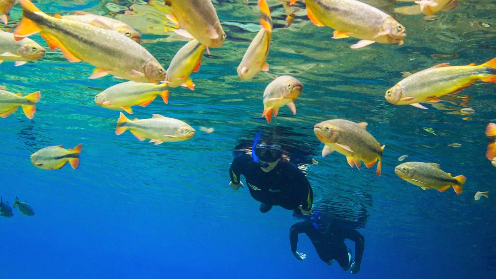 Bonito Foto SECTUR Bonito MS 3