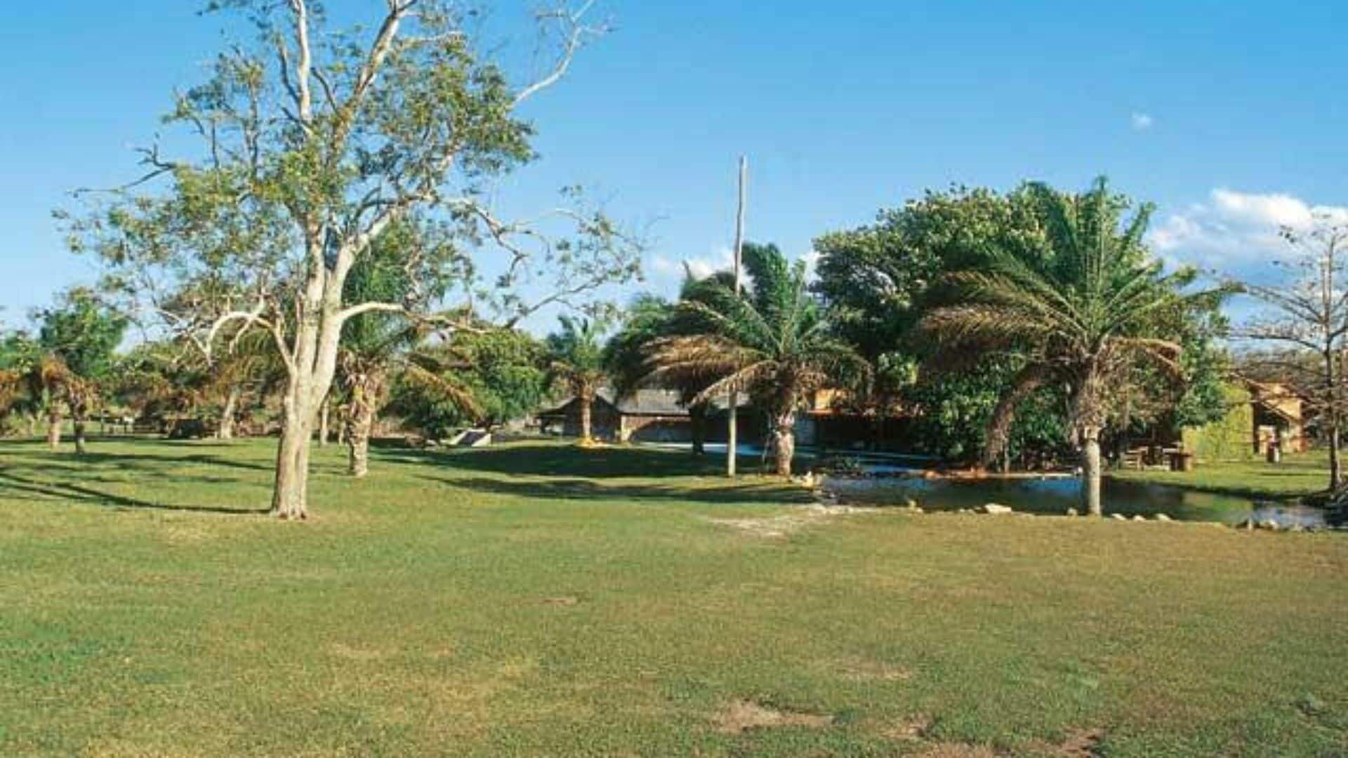 Fazenda Ceita Core 