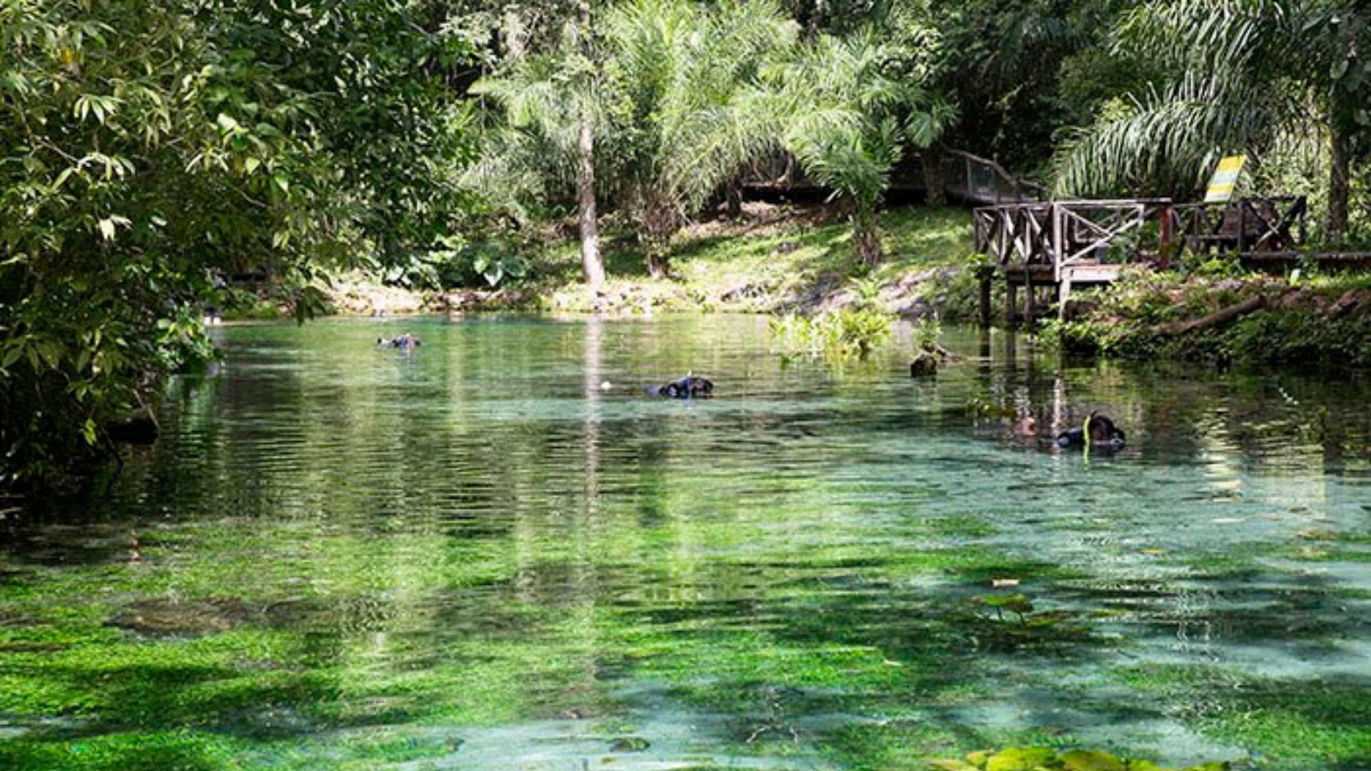 Nascente Azul Foto SECTUR Bonito MS Fotografo Flavio Andre 3 pontos turisticos chapada dos guimaraes