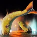 Prefeitura Municipal de Bonito MS8