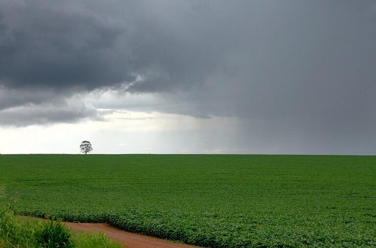 Escassez de chuvas ameaça safra da soja em Mato Grosso e demais regiões produtoras